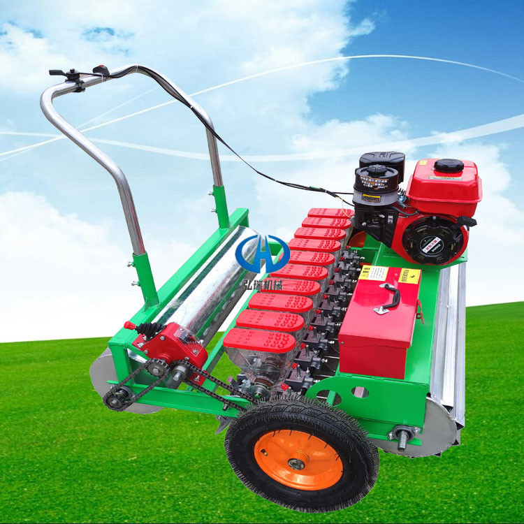 蔬菜小型1-6行播种机  樱桃萝卜播种机 落葵种子精播机四川价格