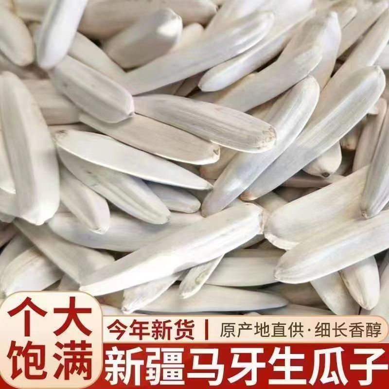 新疆马牙瓜子牙签瓜子250克白瓜子坚果炒货休闲零食一件代发-阿里巴巴