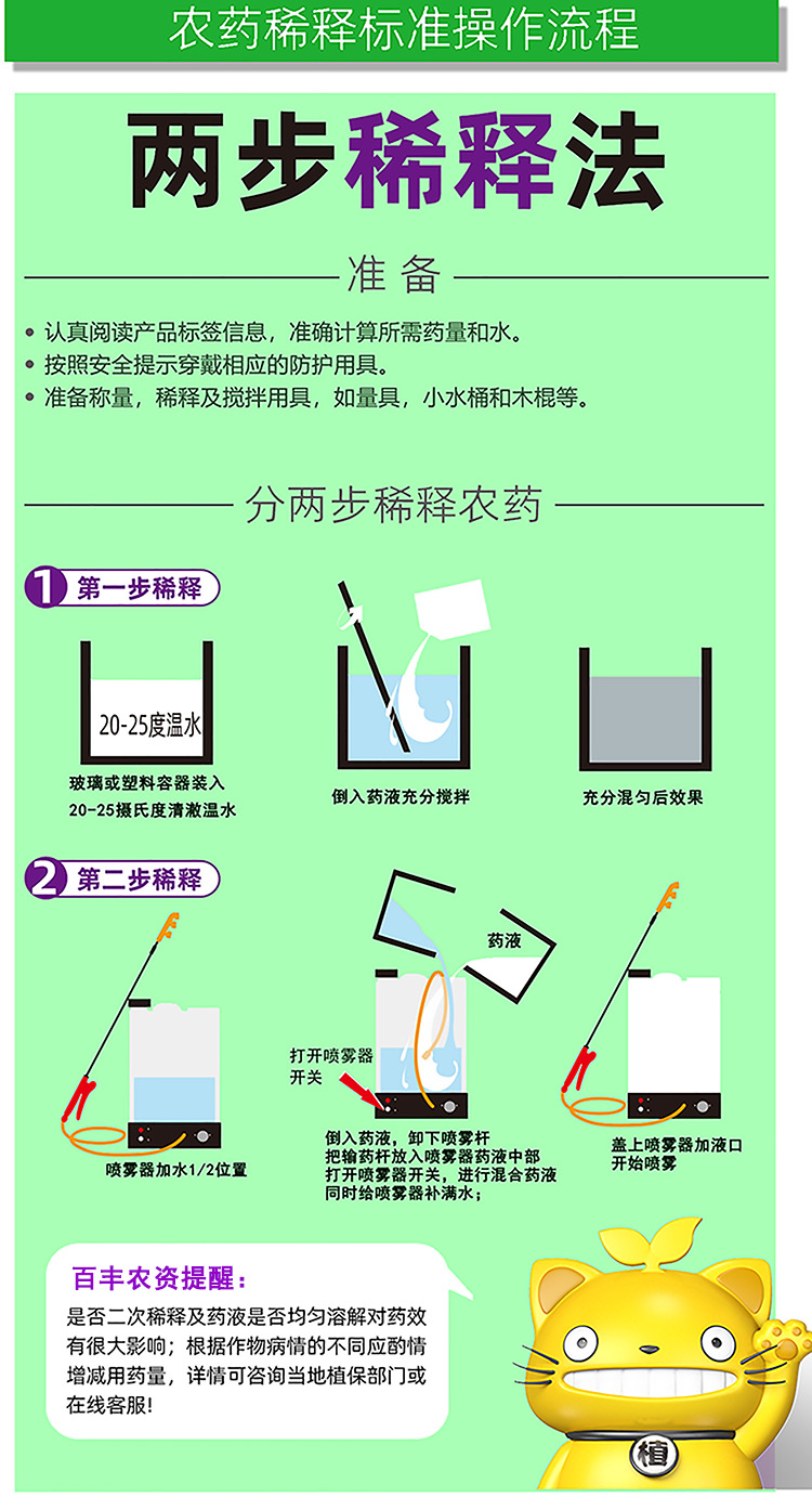 仙客来种子育苗方法图片