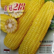 北京四海金冠218甜玉米种子 可生吃水果玉米鲜食甜玉米