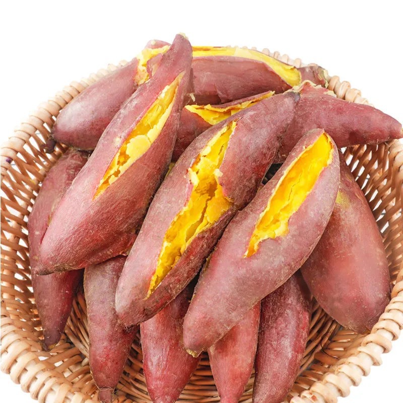 云南黄金蜜薯新鲜蔬菜红薯番3斤-9斤装装薯肉质软糯香甜新鲜水果