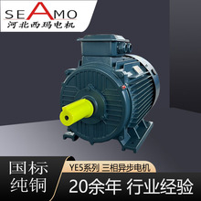 河北西玛电机厂家定制生产YE5-2级3-355千瓦超高效三相异步电动机
