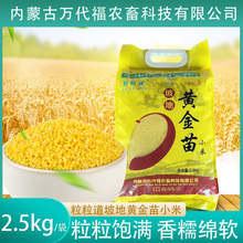 敖汉特产坡地黄金苗小米五斤袋装粒粒道厂家批发小黄米一件代发