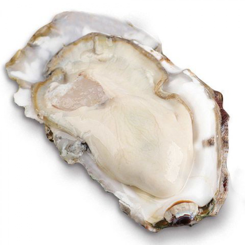 生蚝 鲜活乳山带箱5斤牡蛎海鲜贝类带壳海蛎子批发代发速卖通厂家