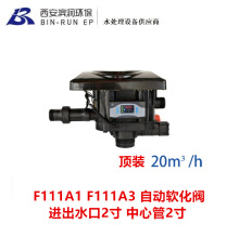 润新20吨自动软化阀 顶装 F111A1 F111A3 进出水口2寸 中心管2寸