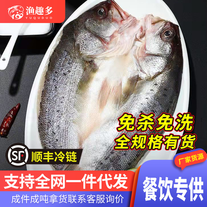 鲈鱼新鲜开背海鲈鱼野生七星鲈鱼调味烤鱼专用海鲈鱼水产海鲜