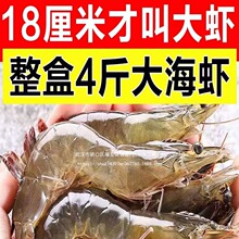 船冻青岛大虾鲜活斤新鲜超盒大虾4青虾整箱冷冻海虾对虾海鲜水产