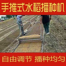 水稻播种机手推覆土机育秧盖土机一体机手推式育苗自动下种播种器