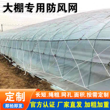 大棚网防风网货物种植盖垛封车压膜防护大孔尼龙网绳网挡风