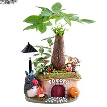 发财树桌面小盆栽植物微型盆景小摆件微景观室内客厅喜植物盆栽巧