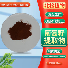 葡萄籽提取物全水溶98% OPC植物萃取 葡萄籽粉 食品级 源头货源