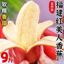福建红美人香蕉9斤新鲜水果现摘火龙焦芭蕉小米蕉红香焦整箱包邮