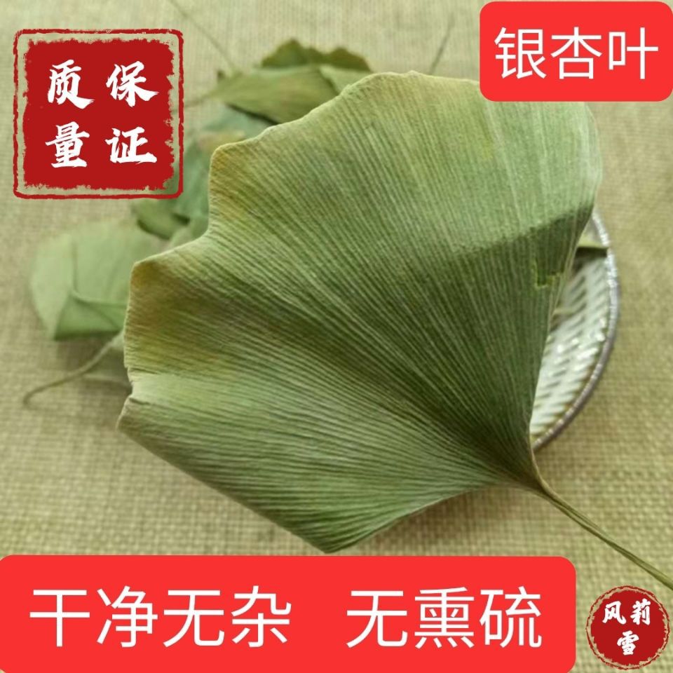 树叶银杏树