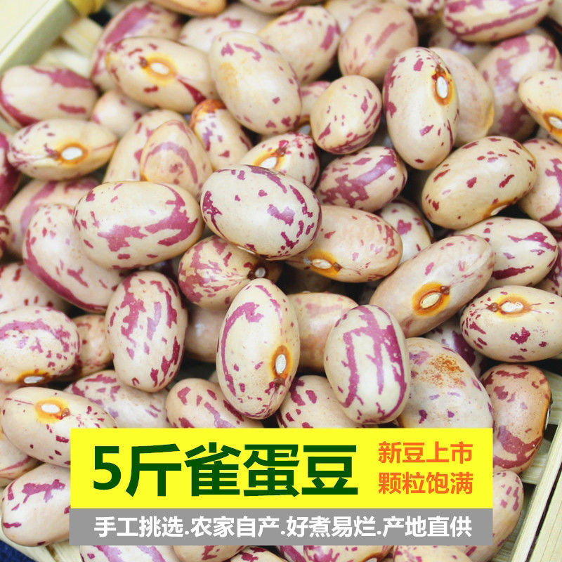 雀蛋豆新货云南农家自种金丝豆红花豆奶花豆芸豆五谷杂粮粗粮包邮