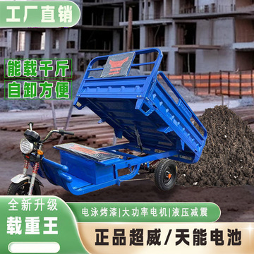 新款电动三轮车货车拉货长续航载重王家用农用快递摆摊车接送孩子