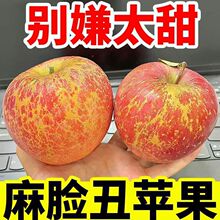 麻脸爆甜丑苹果新鲜水果红富士冰糖心大果脆甜应季产地批发价整箱