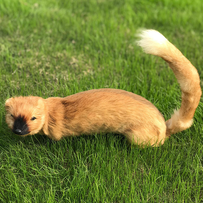 厂家直销仿真动物黄鼠狼黄鼬黄仙供奉橱窗摆件工艺品道具