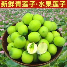 【现货】莲子新鲜莲蓬现剥米新鲜蔬菜孕妇即食湖南湘莲生吃嫩莲子