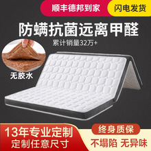 S^H可折叠天然椰棕床垫可订榻榻米棕垫子可订尺寸偏硬家用软1.5m