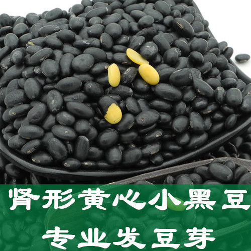 新疆西藏专链黄心黑豆五斤黑豆长粒黑豆黑小豆豆芽专用黑豆五谷杂