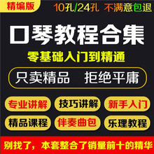 24教程自学基础10布鲁斯孔入门教学培训零口琴孔半音阶视频