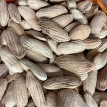 芒果核中药材杧果核干成都荷花池新鲜芒果籽长寿果散装500克