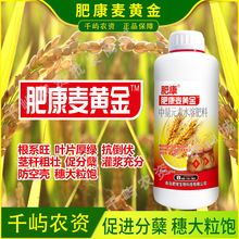 麦黄金水溶肥小麦高产专用肥叶面肥小麦增产麦黄金分蘖宝组合正品