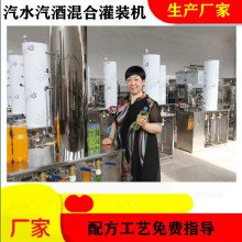 小型汽水生产设备加气机碳酸水加气水苏打水功能碳酸饮料灌装机厂