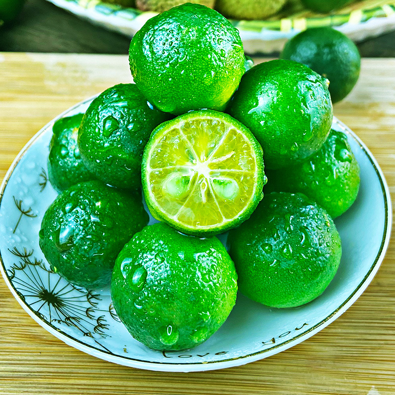 海南小金桔5斤水果新鲜小青桔应当季包邮整箱批发柠檬果青柠橘子
