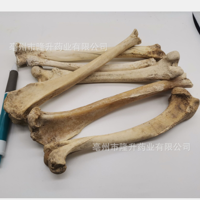供应中药材 狗骨头 狗腿骨 狗头骨 醋制 代打各种中草药超细粉