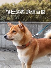 宠物狗狗项圈中型犬狗脖圈金毛柯基拉布拉多大型犬颈圈狗圈脖套