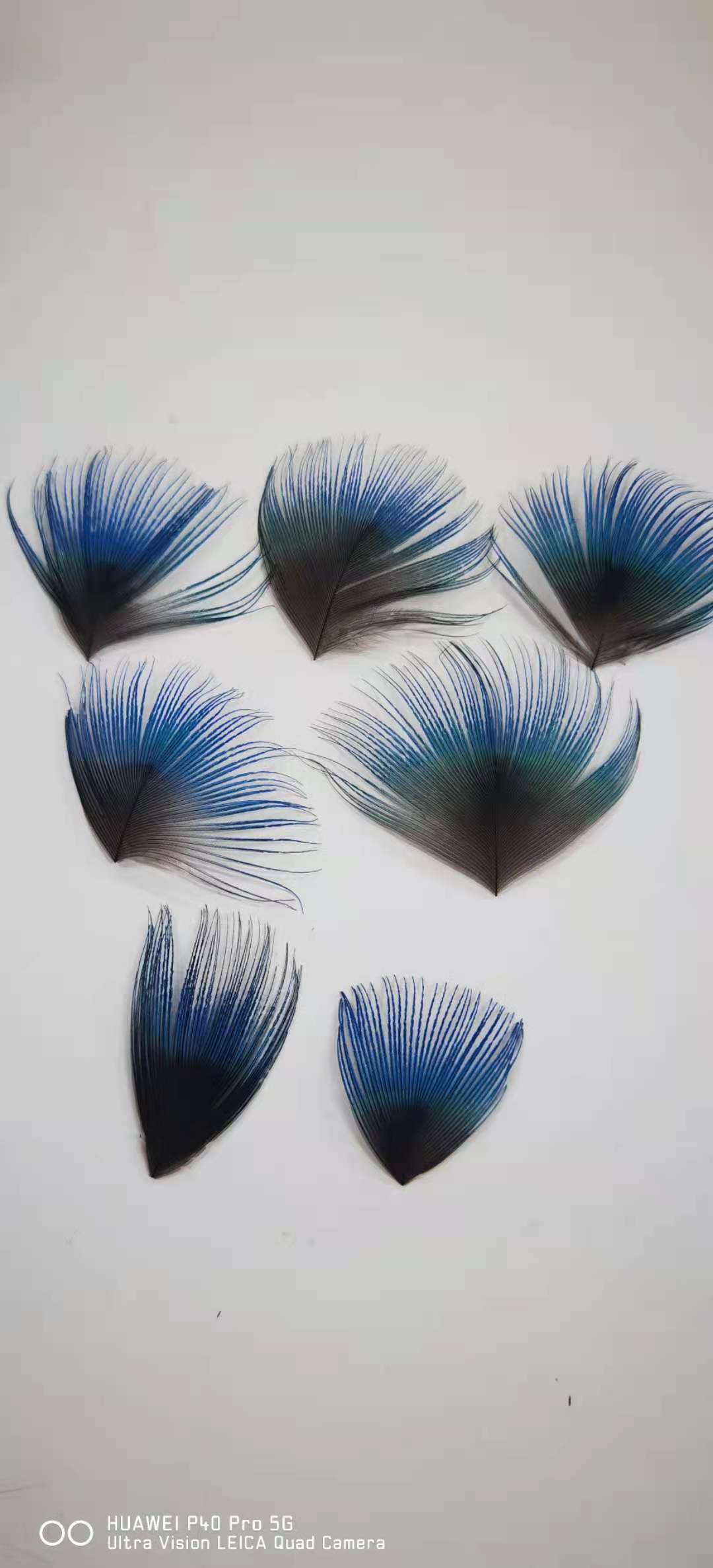 点翠羽毛孔雀蓝片羽毛厂家diy手工艺品 头饰耳环服装孔雀羽毛辅料