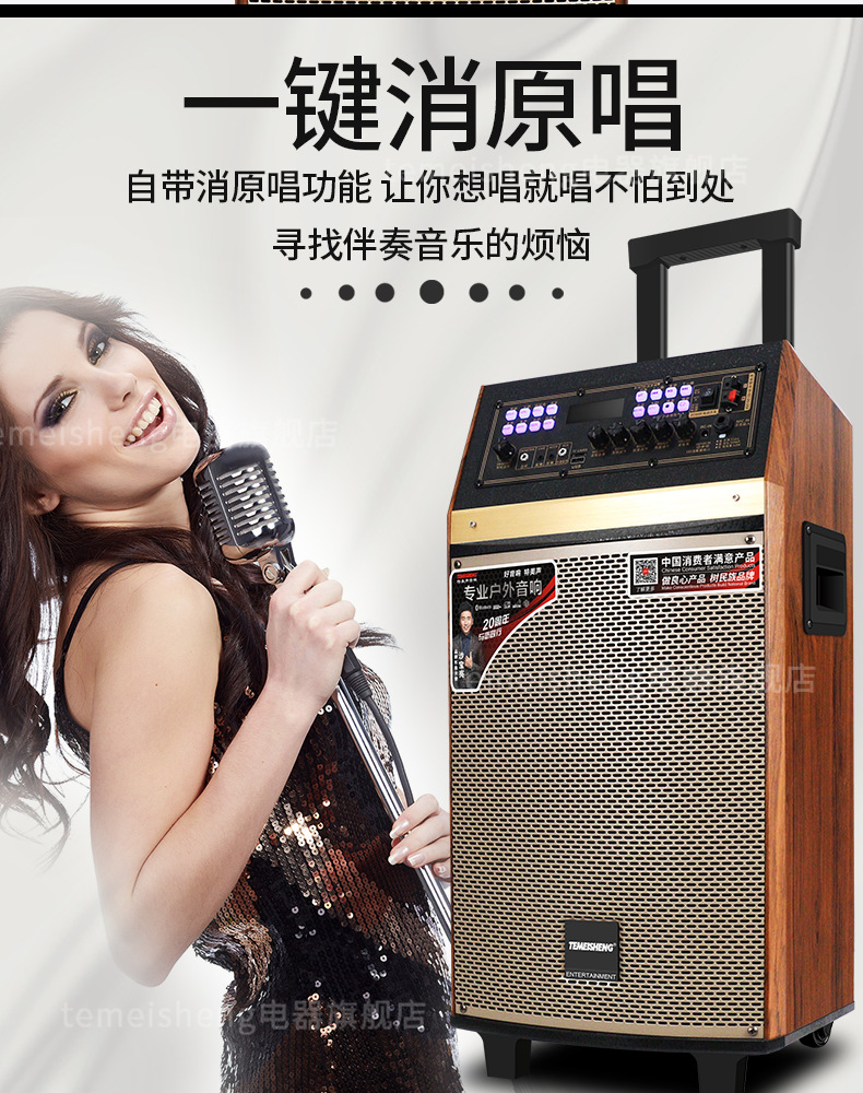 特美声qx0851户外直播音响带声卡一体机快手抖音设备演出唱歌音箱