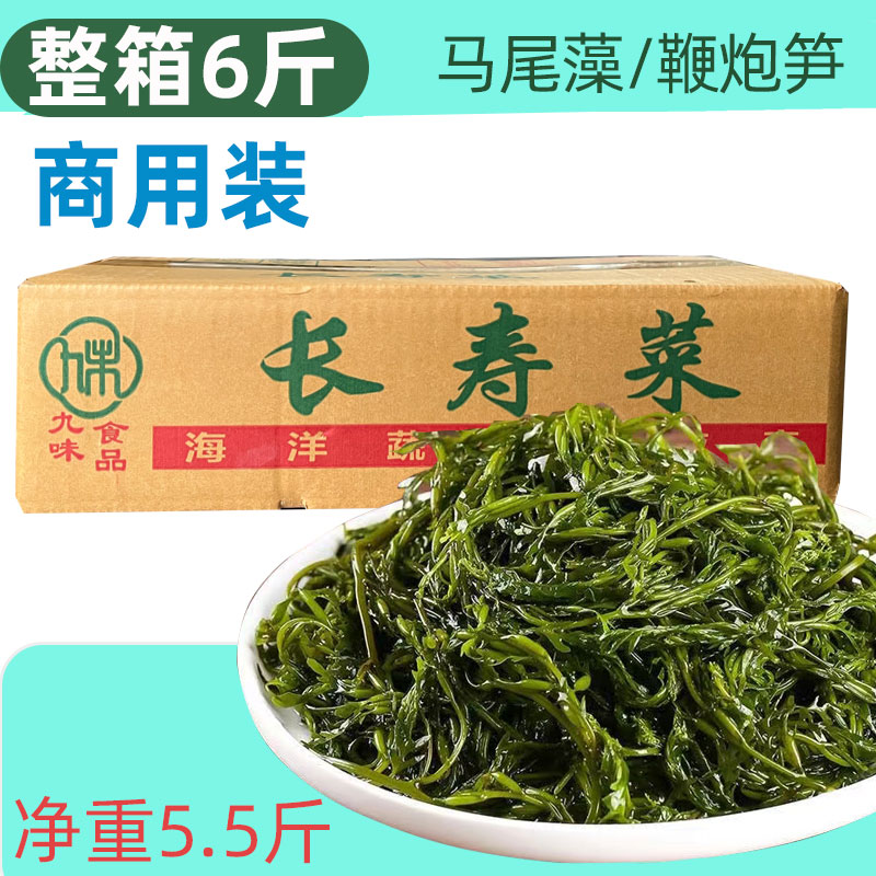 商用整箱6斤盐渍马尾藻海草鞭炮笋羊栖长寿菜麻辣烫火锅串串商用