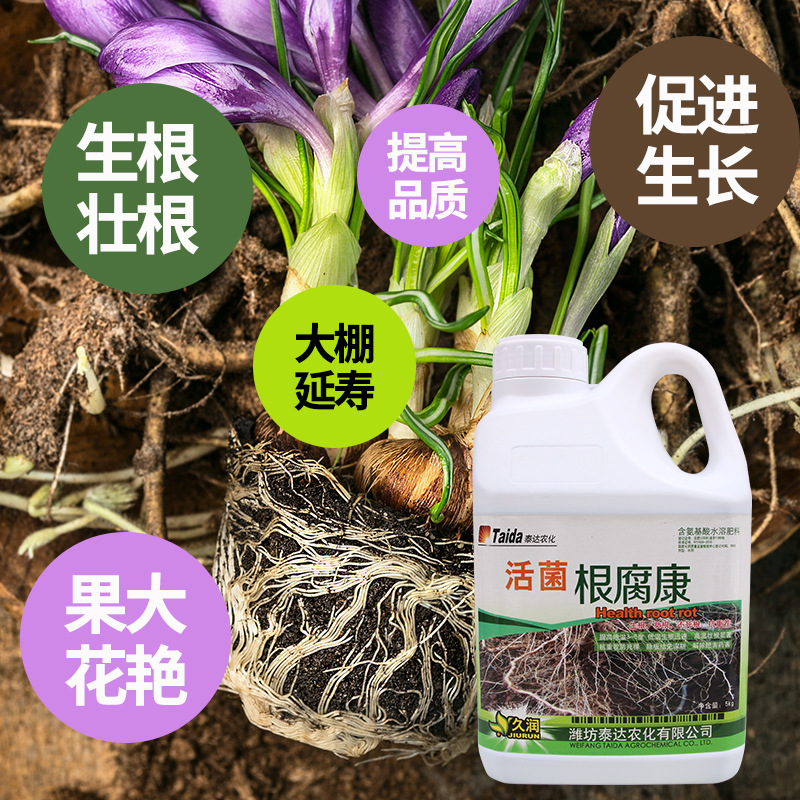 活菌根腐抗生根剂强根生根壮苗水溶肥料叶面肥壮苗防死苗烂根壮秧