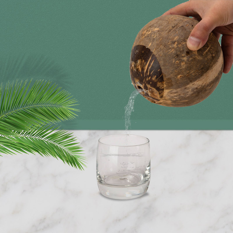 椰子酒高度白酒52度水果酒果酒海南原生态椰子酒椰奶酒礼盒送礼