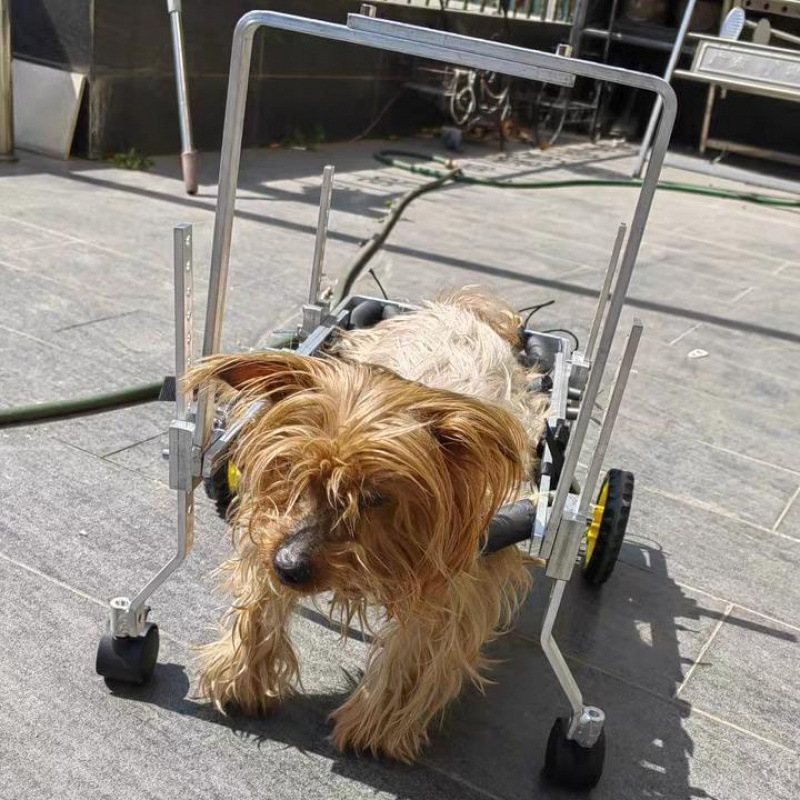 四轮前肢宠物轮椅猫狗狗后腿后肢辅助助力车老年残疾助力后肢通用