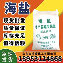 现货批发海盐 粗盐 细盐水产养殖专用盐 工业盐 日晒盐 海盐