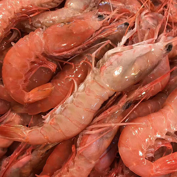 舟山船冻新鲜大红虾大头红虾鲜冻生腌红虾非排列水产批发一箱起发