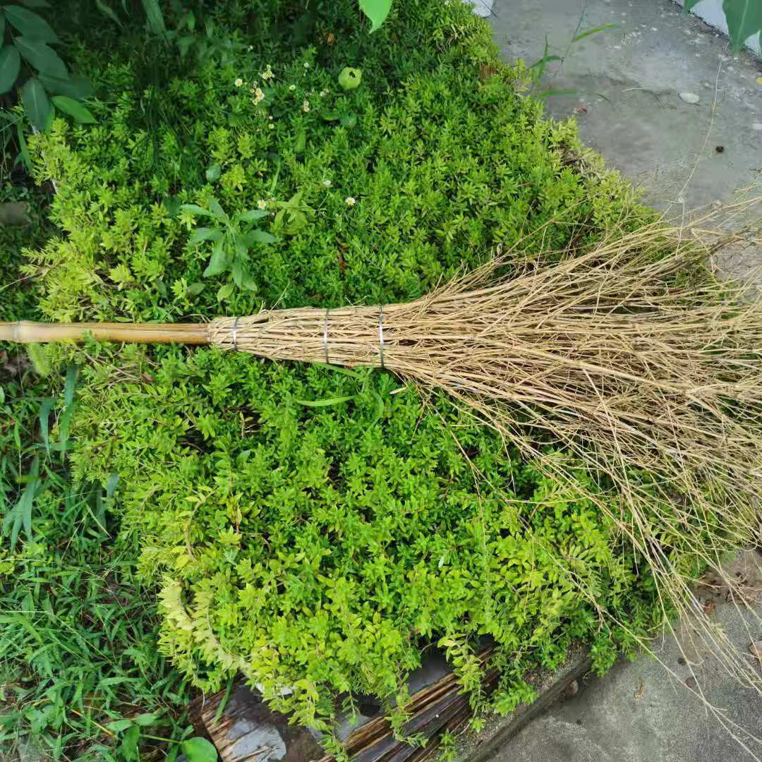 环卫竹扫把竹扫帚069.5成交0件安吉华鑫竹木工