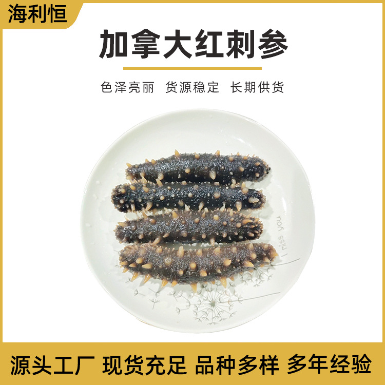 野生加拿大红刺参即食海参红筋参加拿大红刺参批发500g-阿里巴巴