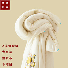 母婴级A类针织棉原棉大豆纤维被空调被保暖冬被加厚春秋被子被芯