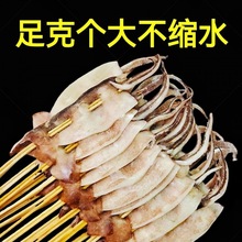 铁板鱿鱼串烧烤专用串新鲜冷冻串烧烤商用食材