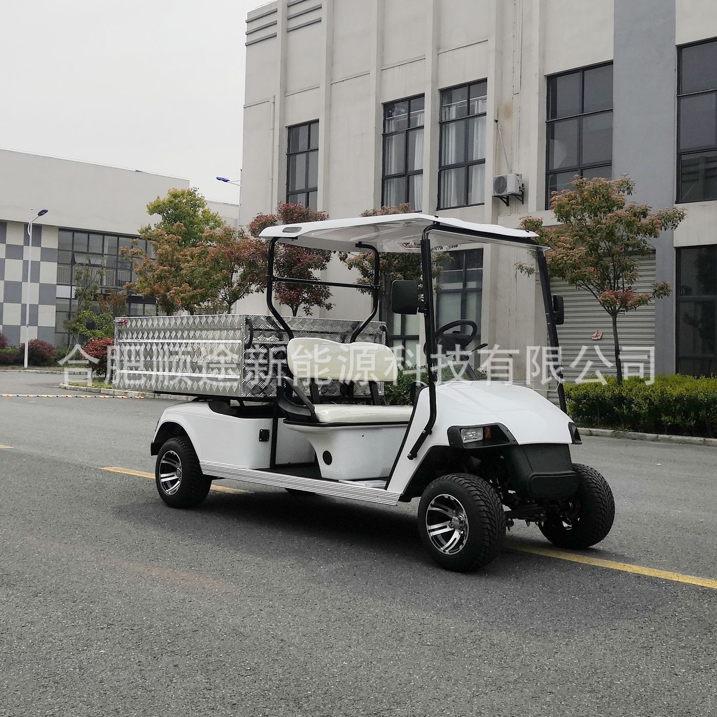 两座高尔夫款电动货车客货两用电动车景区货物搬运车微型货车报价