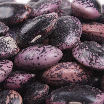 大黑花芸豆 新货云南农家黑芸豆 牛眼豆 大花豆豆类杂粮