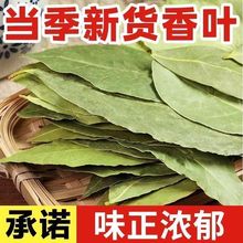 香叶头茬新货桂皮八角调味品卤料料炒菜调料广西商用混批一件代发