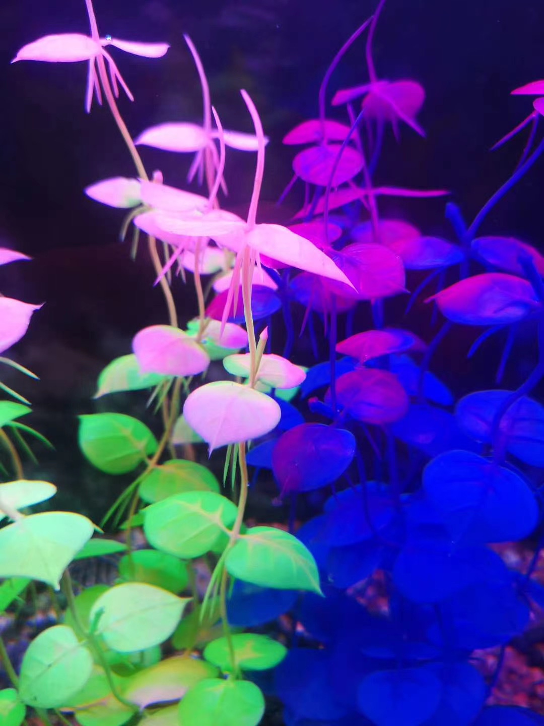 厂家批发水族箱布景仿真水草鱼缸造景塑料假草蝴蝶草装饰长草