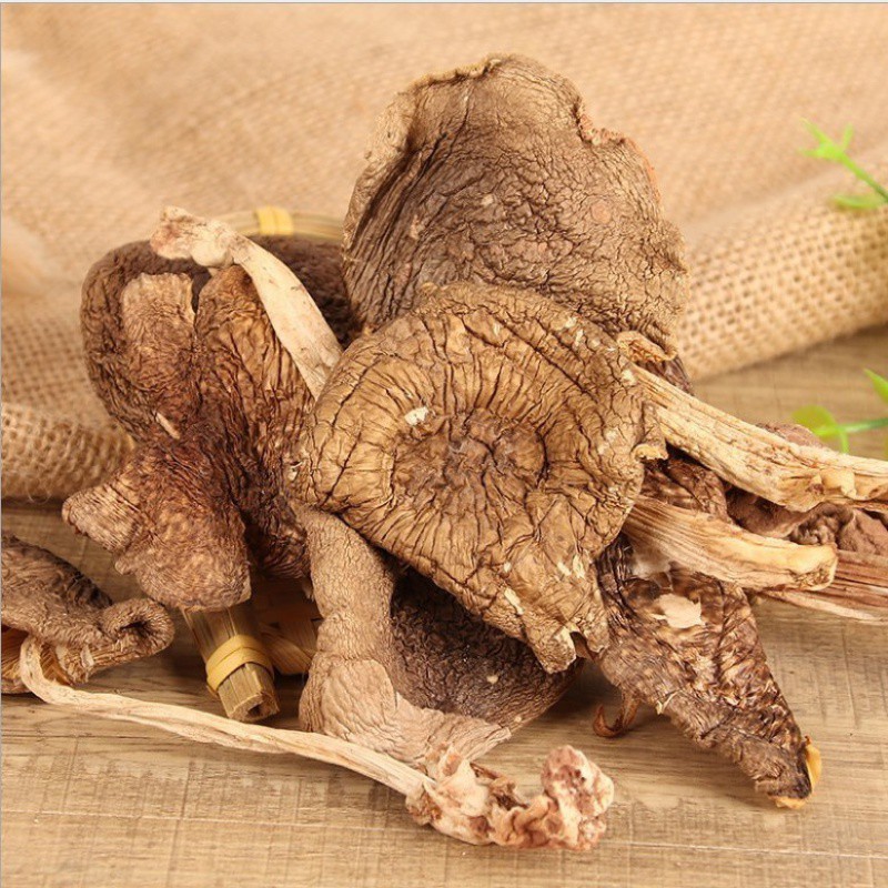 新货 特级野生鸡枞菌干货50g 火把鸡纵云南特产 蘑菇 野生菌煲汤