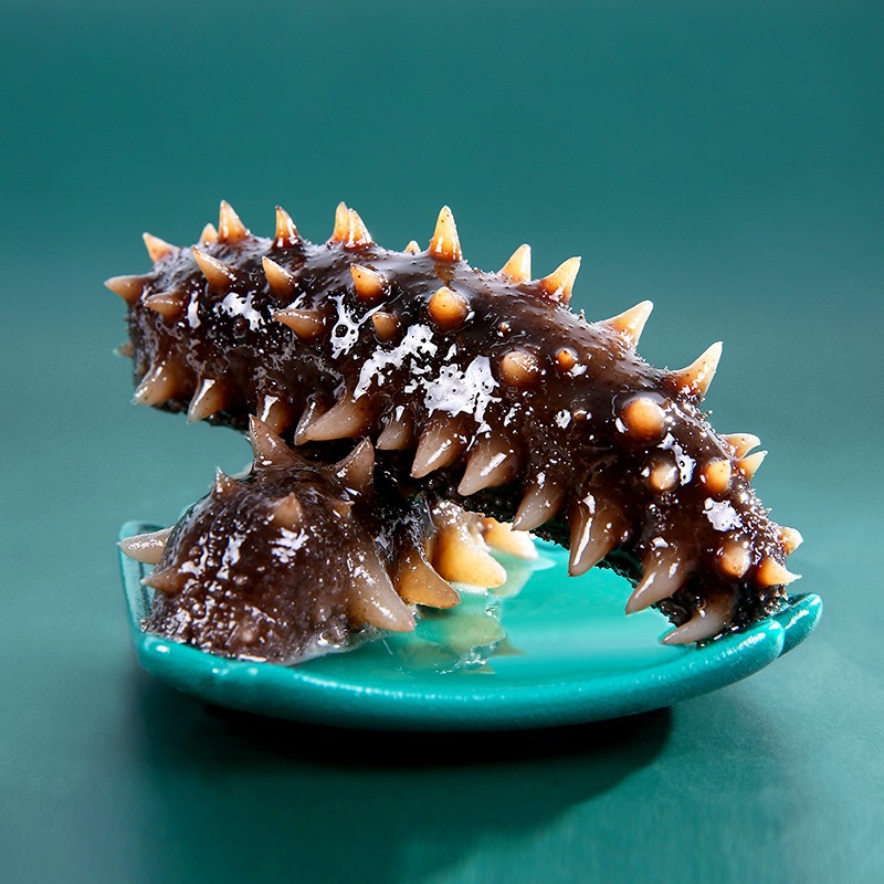 高压即食海参个头品质肥大512头规格全规格