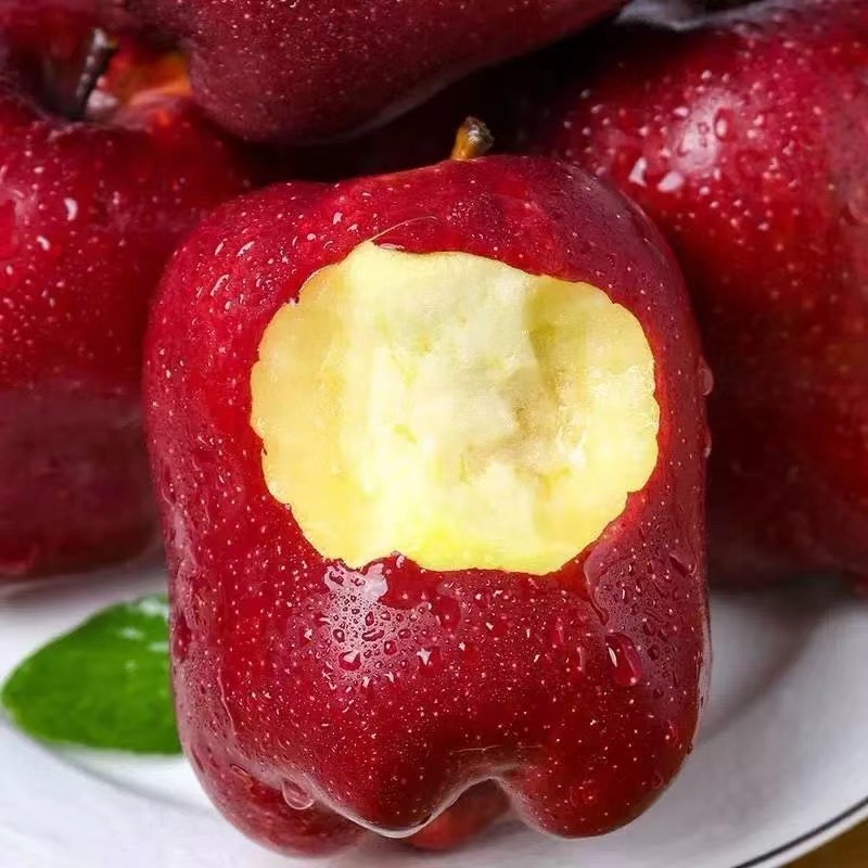 甘肃天水花牛苹果新鲜苹果当季大果应季水果礼盒装批发一件代发